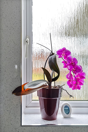 0035